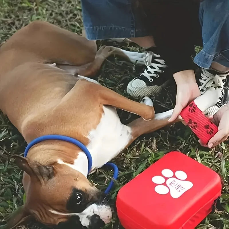 Kit Botiquín Completo de Primeros Auxilios para Mascotas — 19 Piezas con Cuenco Plegable y Accesorios