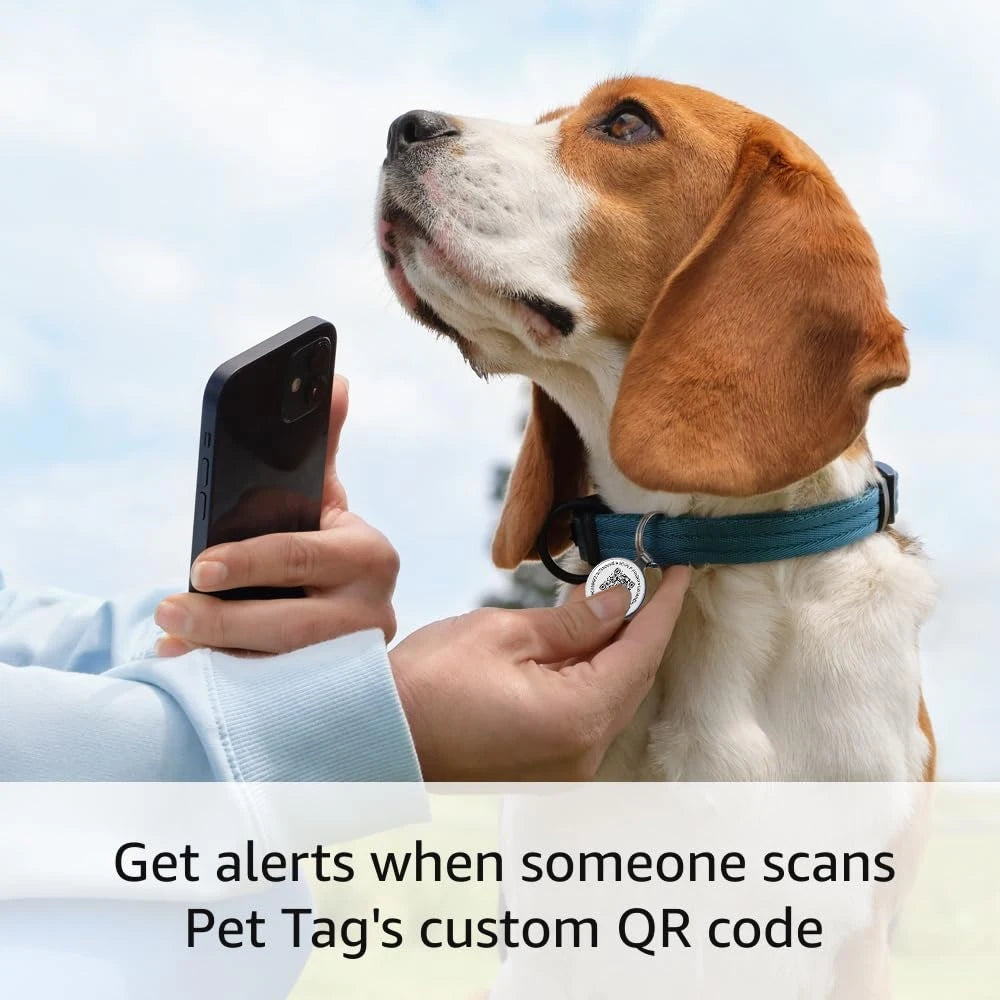 Placa Identificativa QR para Mascotas — Metal Resistente, Sin Cuotas ni Suscripción