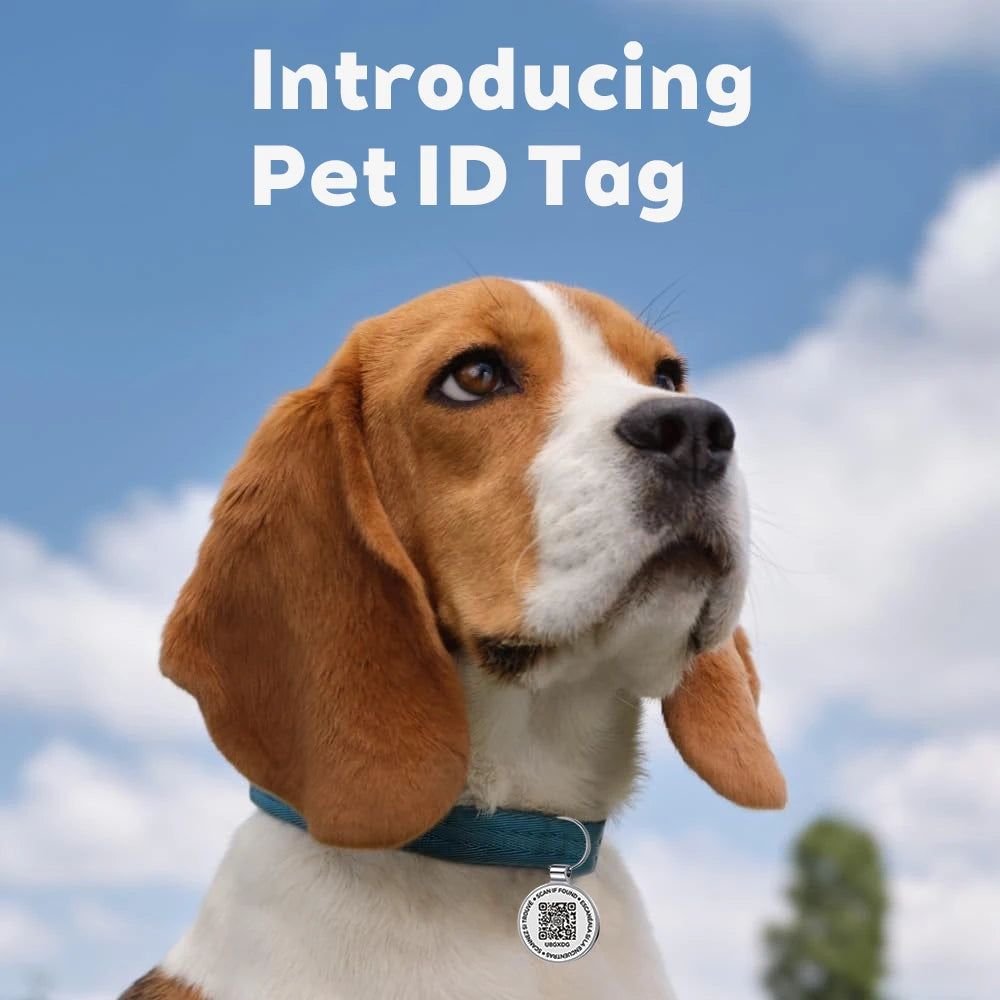 Placa Identificativa QR para Mascotas — Metal Resistente, Sin Cuotas ni Suscripción
